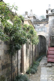 春游宏村,宏村旅游攻略 马蜂窝