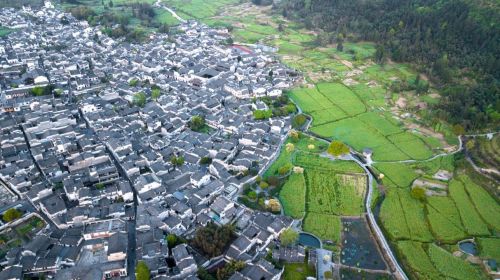春游江淮请您来 这个 五一 3条精品线路带你畅游黟县
